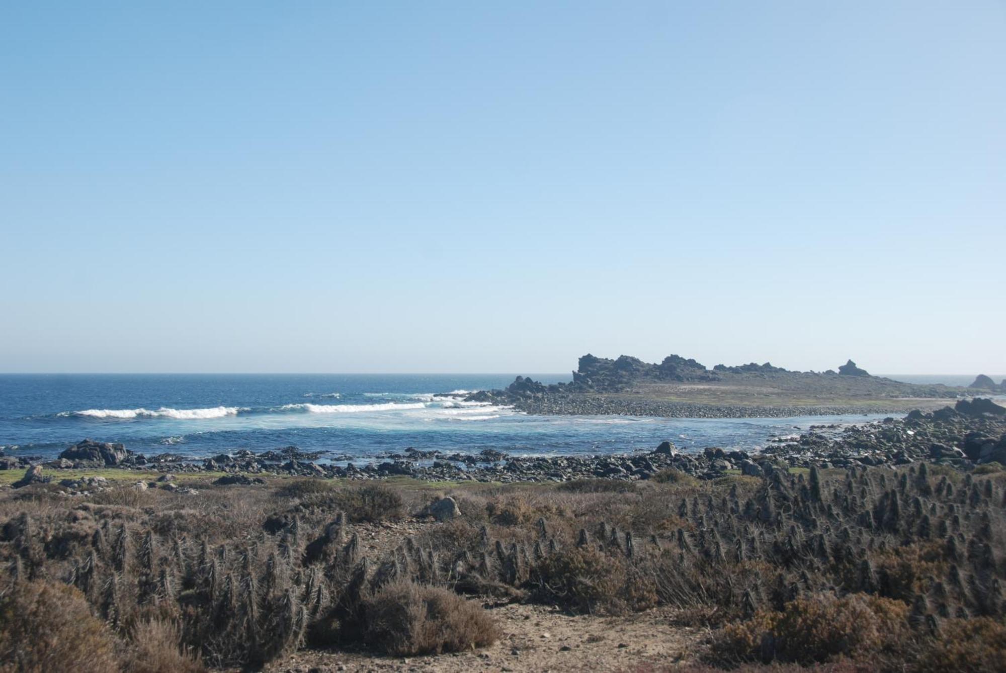 Cabanas Las Hualas Punta de Choros Extérieur photo